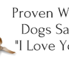 Proven Ways Dogs Say I Love You