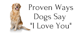 Proven Ways Dogs Say I Love You