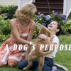 www.domovies.live