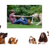whne and how to play with my dog