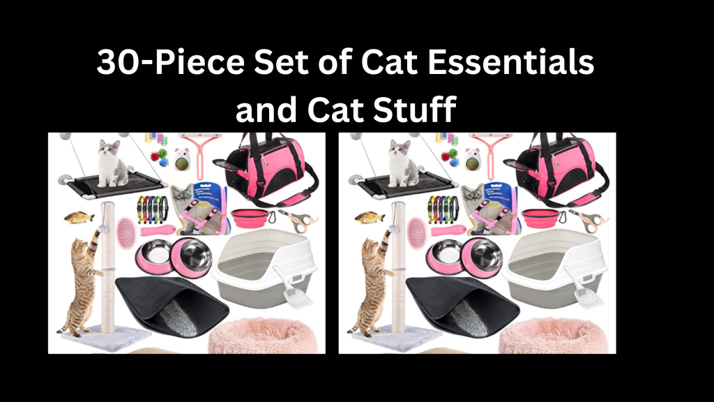 30-Piece Set of Cat Essentials and Cat Stuff