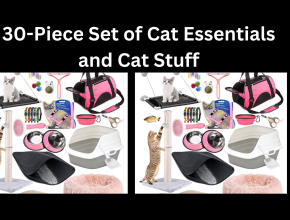 30-Piece Set of Cat Essentials and Cat Stuff
