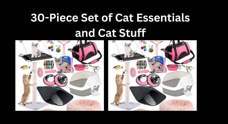 30-Piece Set of Cat Essentials and Cat Stuff