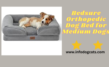 Bedsure Orthopedic Dog Bed for Medium Dogs