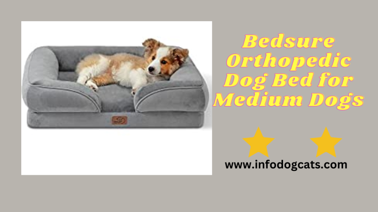 Bedsure Orthopedic Dog Bed for Medium Dogs