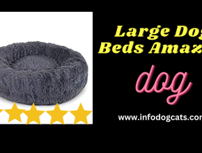 Large Dog Beds Amazon