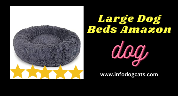 Large Dog Beds Amazon