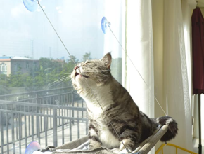 Cat Bed Window, Cat Window Hammock Window Perch
