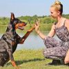 7 FACTS About DOGS That Will Surprise You! Discover Them!