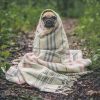 Dog Virus In Oregon 2023