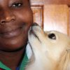 The best dog food 2023, according to experts