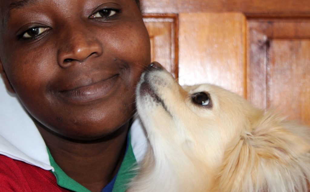 The best dog food 2023, according to experts