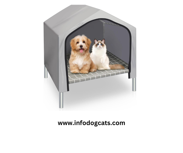  Top 5 Indoor Cat Houses Elevate Your Feline's Comfort and Joy Australian Cat Breeds