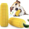 Aggressive Chewer Dog Playing with Chew Toy