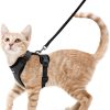 Reviews of the Rabbitgoo Cat Harness 2024