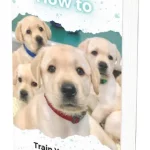 How To Train Your Puppy