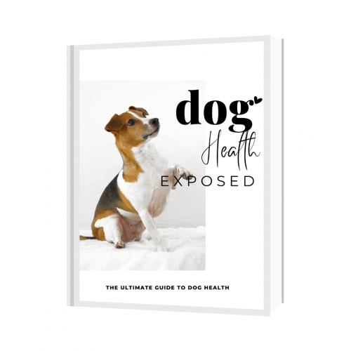 Perfect guide for imperfect dog owners