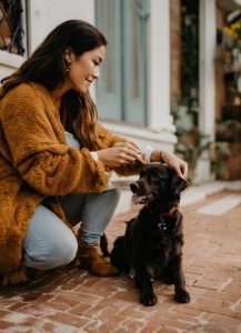 Clean Dog Ears At Home