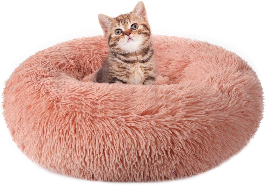 The Ultimate Cat Bed: Comfort and Entertainment in One! - Australian Pet Guide The Ultimate Cat Bed: Comfort and Entertainment in One!