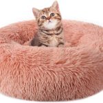 The Ultimate Cat Bed: Comfort and Entertainment in One!