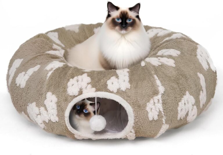 Cats Bonding