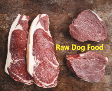 Raw Dog Food