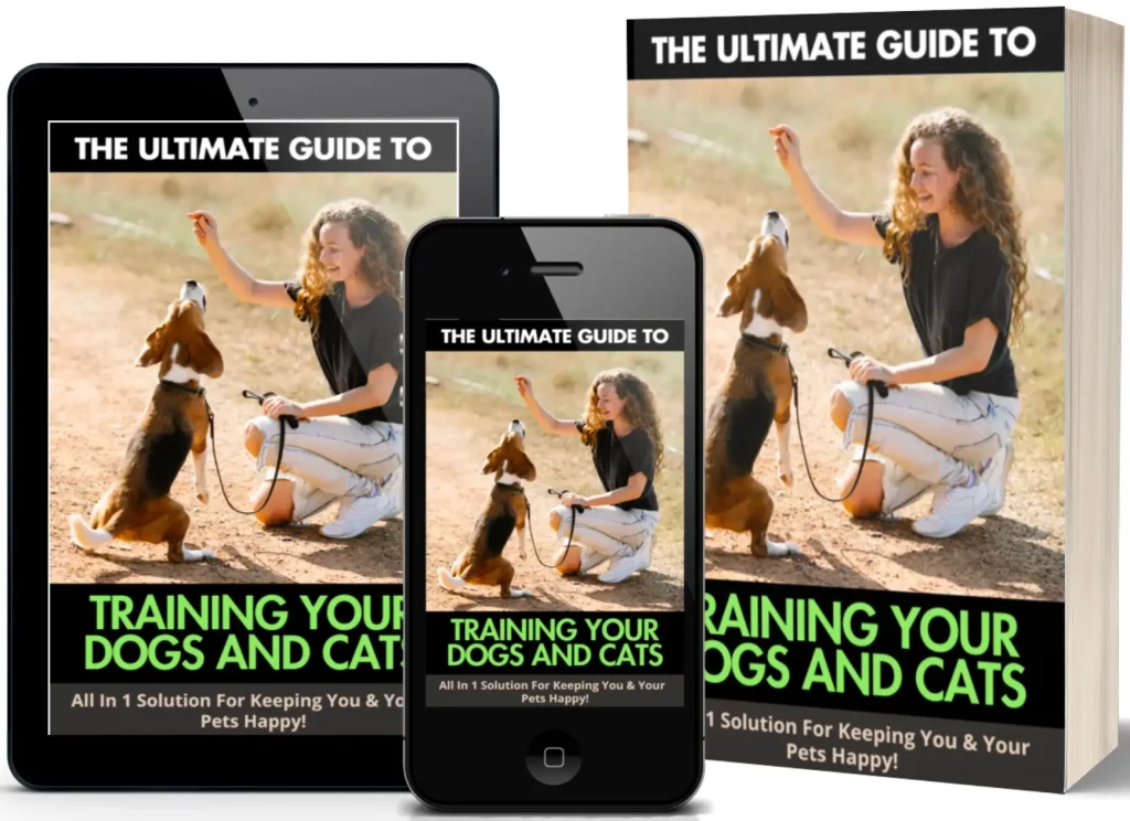 The best GUIDE on how to train your Dogs and Cats 2024 - Australian Pet Guide The best GUIDE on how to train your Dogs and Cats 2024