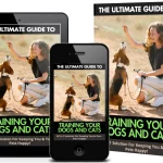 The best GUIDE on how to train your Dogs and Cats 2024
