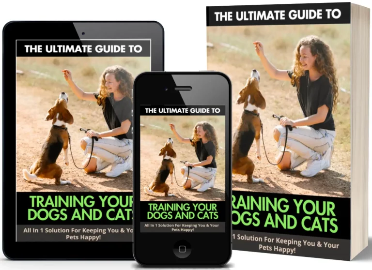 The best GUIDE on how to train your Dogs and Cats 2024