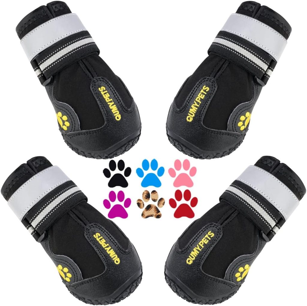 The Best PetSmart Small Dog Rain Boots 2026 - Australian Pet Guide Dog Rain Boots
