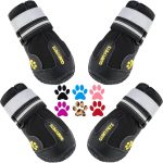 Dog Rain Boots