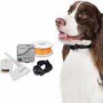 A happy dog playing safely within the boundaries of the Premier Pet In-Ground Fence System