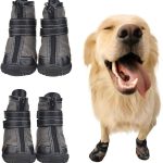 Dog Shoes