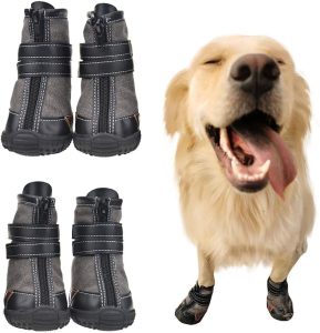 Dog Shoes