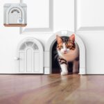 Cat Door