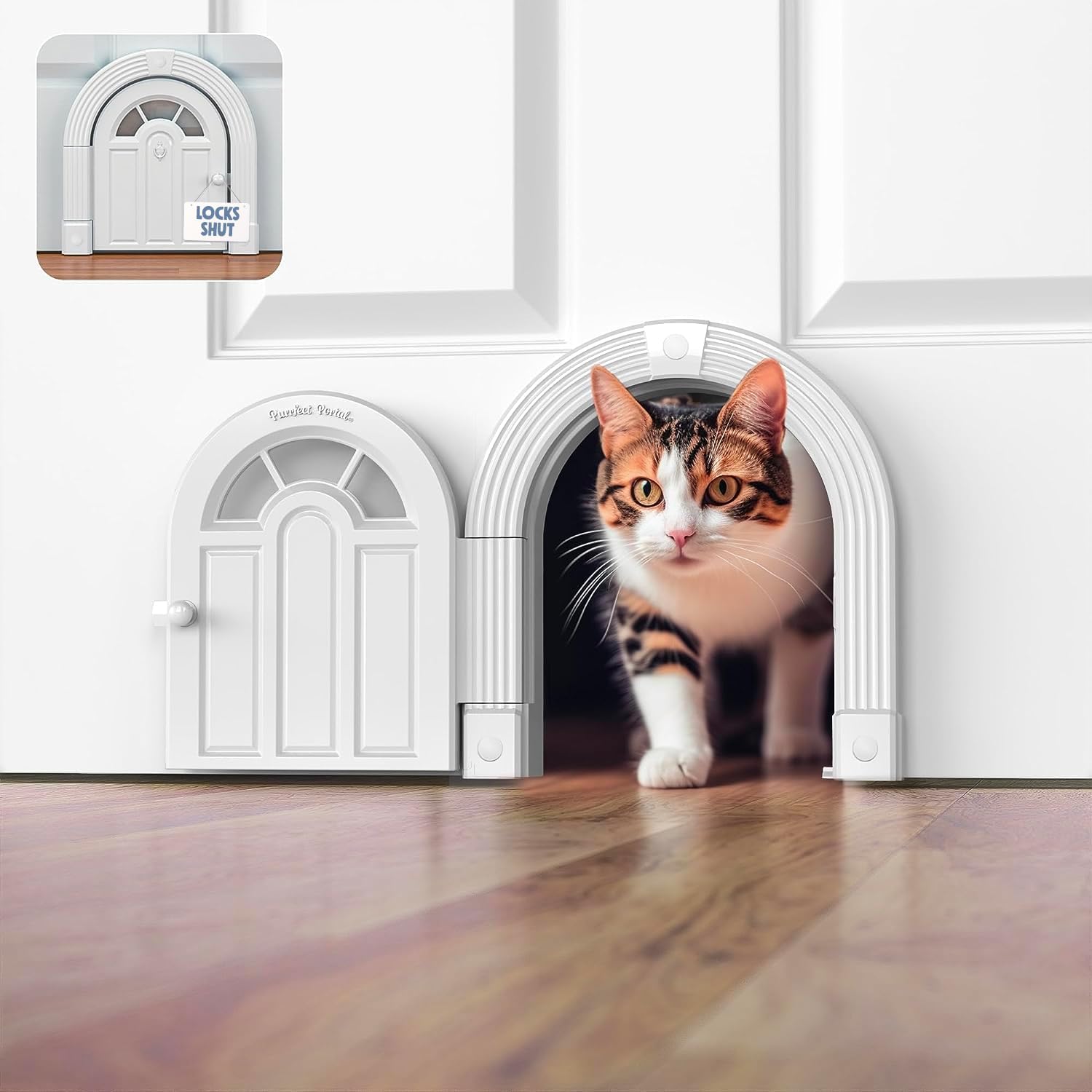 Cat Door