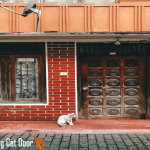 cat door dog gate