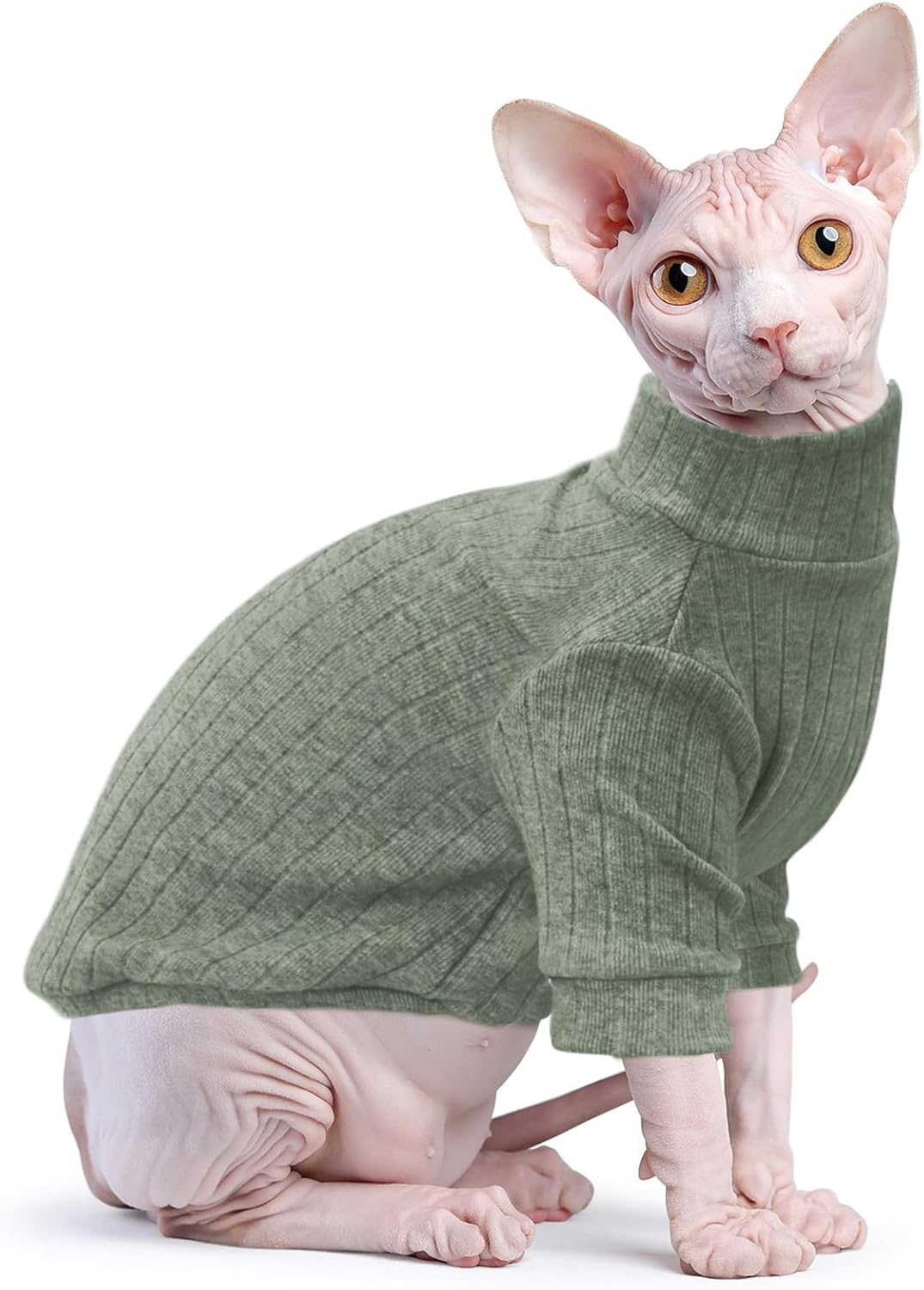 Hairless Cat Clothes