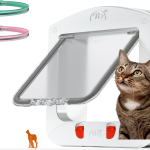 7 Benefits of Installing an Automatic Cat Door