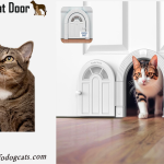 cat door for interior door