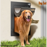 dog doors for walls