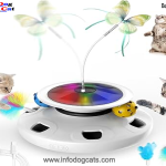 interactive cat toys