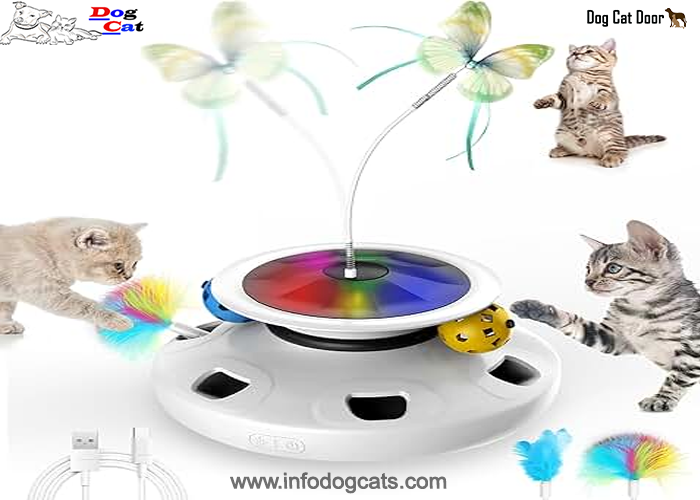 interactive cat toys