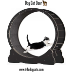 5 Best Interactive Cat Toys for Endless Fun