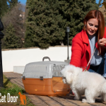 Pet Carriers Dogs