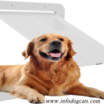screen door with dog door