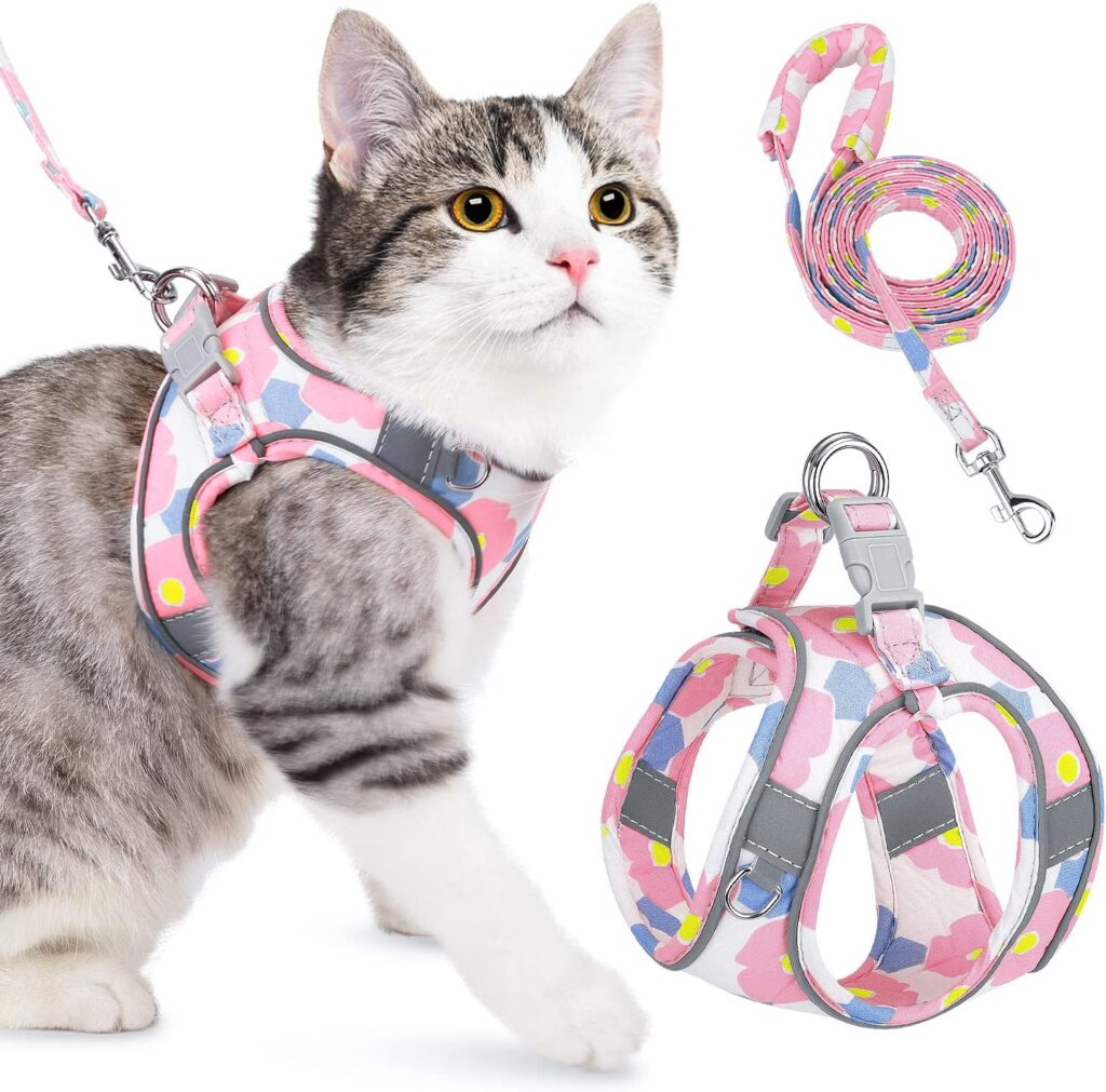 Best Cat Harness