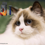 Best Cat Brushes for Ragdoll Cats