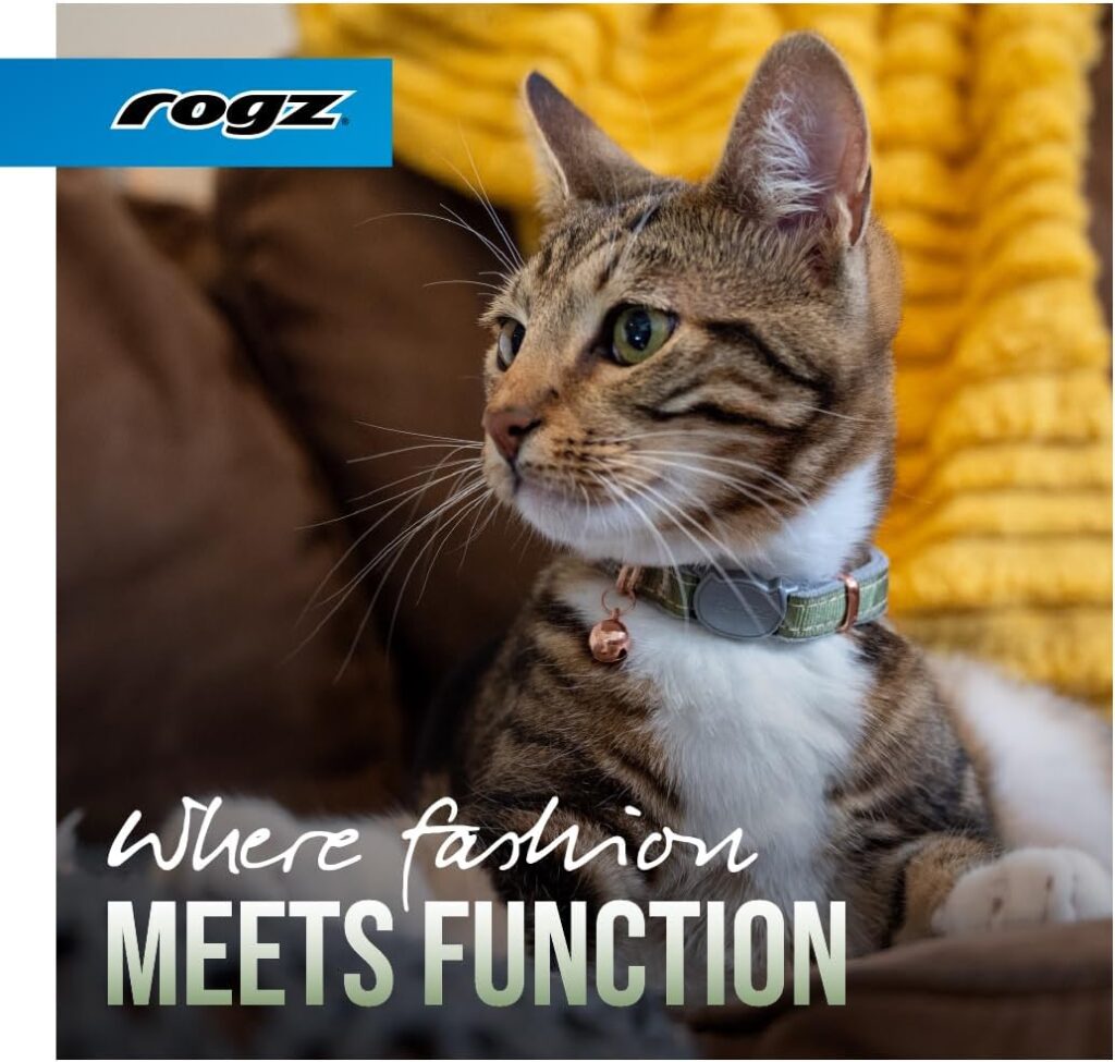Best Cat Collar 