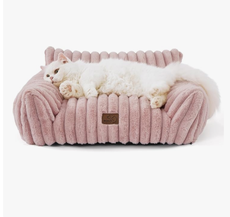 The Best Cat Bed